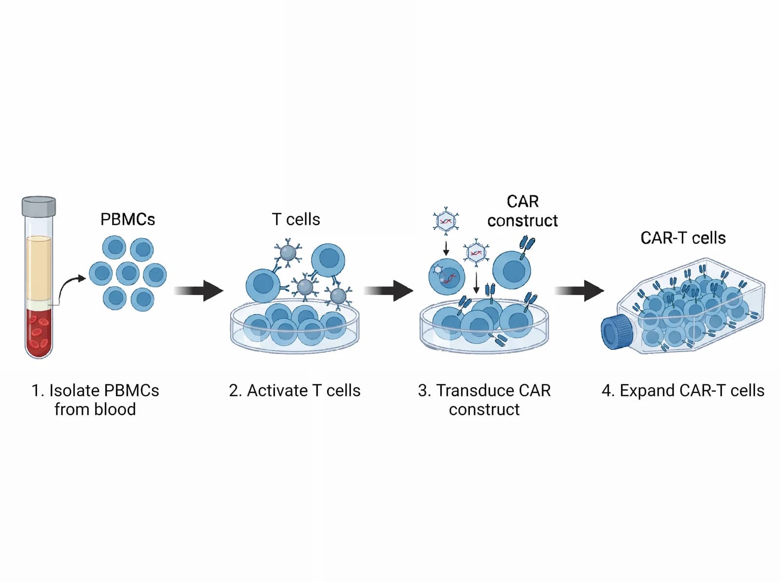 CAR-T preparation figure example