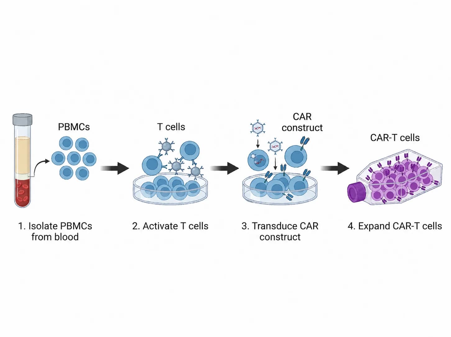 Color edit example with purple CAR-T cells on the right