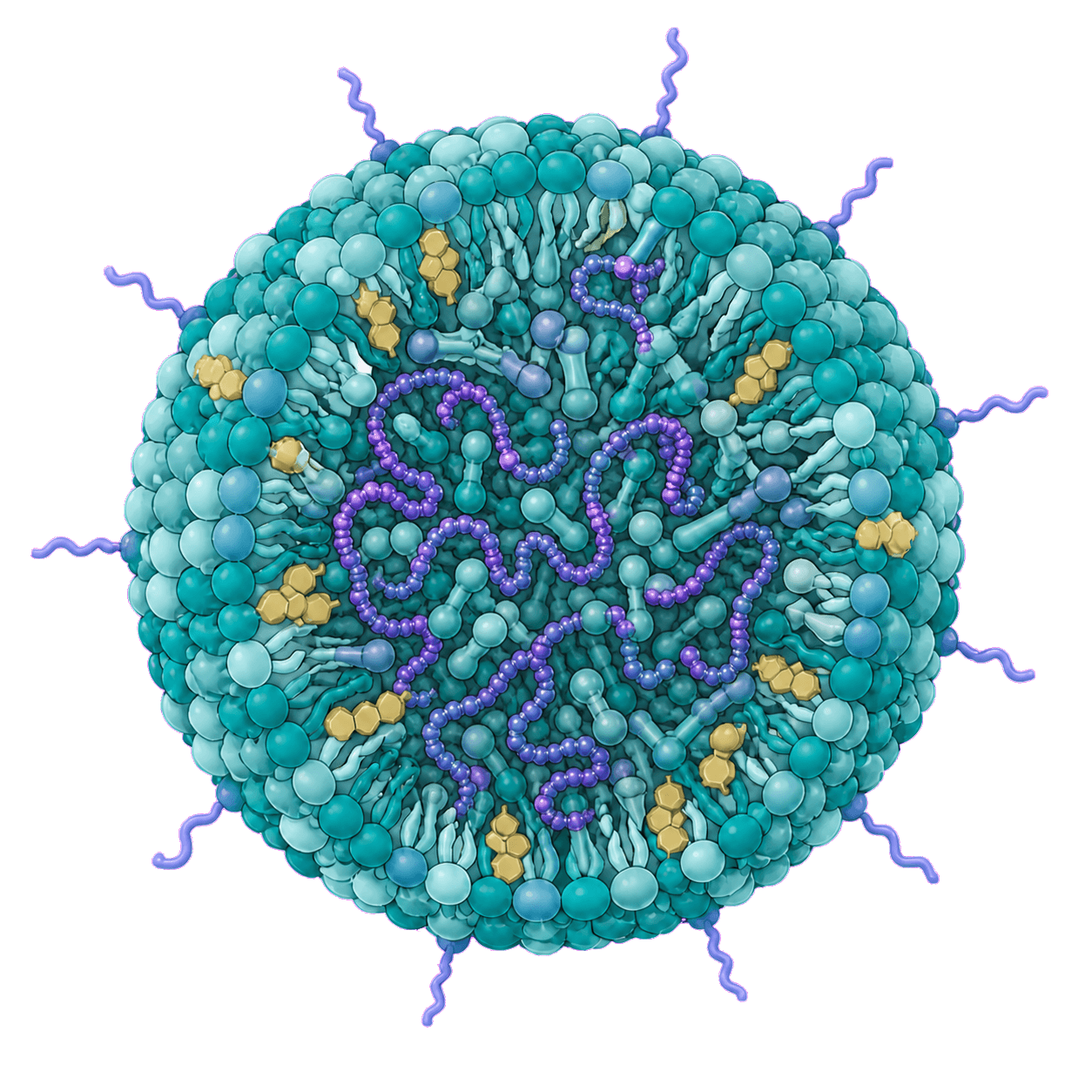 Lipid nanoparticle