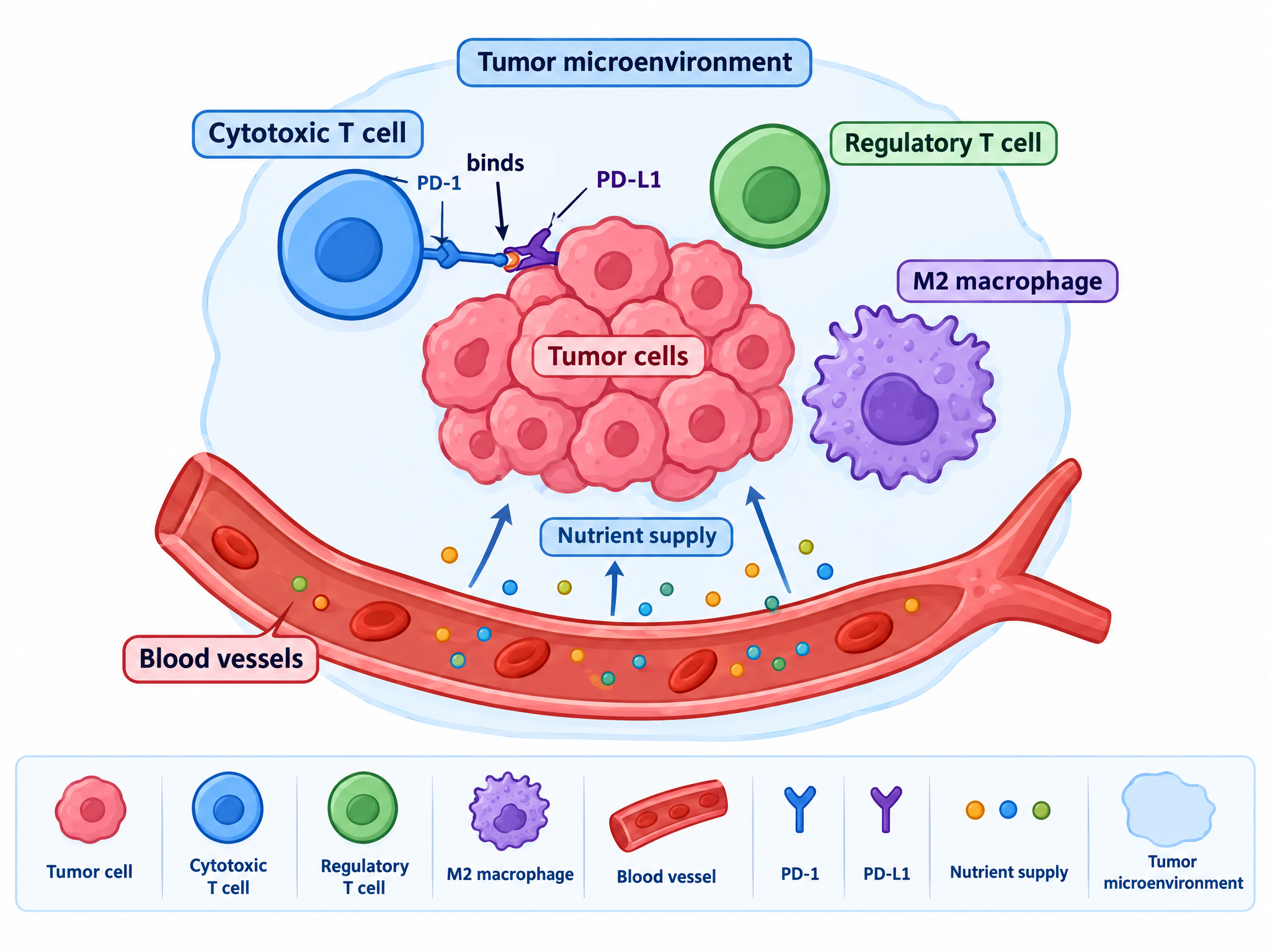 Generated tumor microenvironment illustration with immune cells, vasculature and checkpoint signals